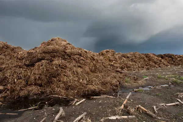 Utilizando Biofertilizantes no Cultivo Hidropônico de Alface Uma Alternativa Sustentável
