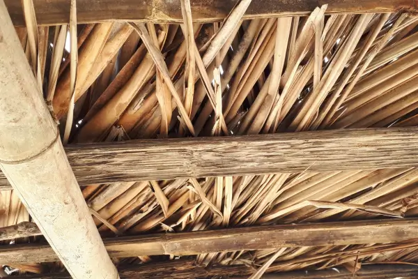 Sombrite Natural para Cultivo Hidropônico de Alface