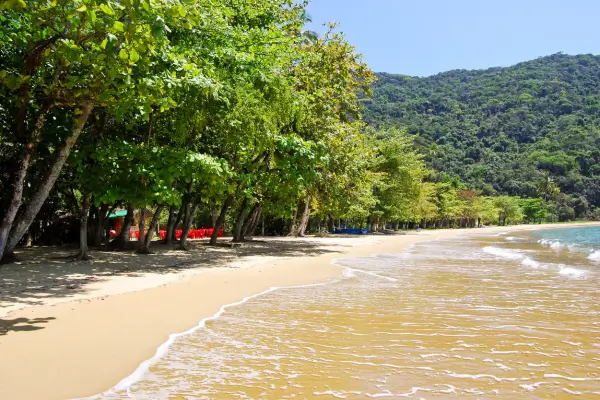 Melhores praias no Brasil: Praia de Lopes Mendes Ilha Grande